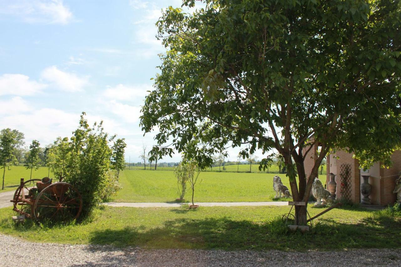 New Flowers Farm B&B Noceto Dış mekan fotoğraf